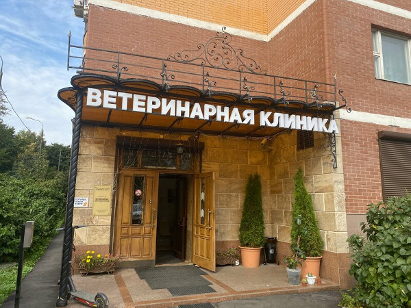 контакты