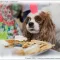 Открытие клиники