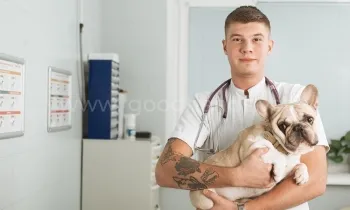 Вызов на дом